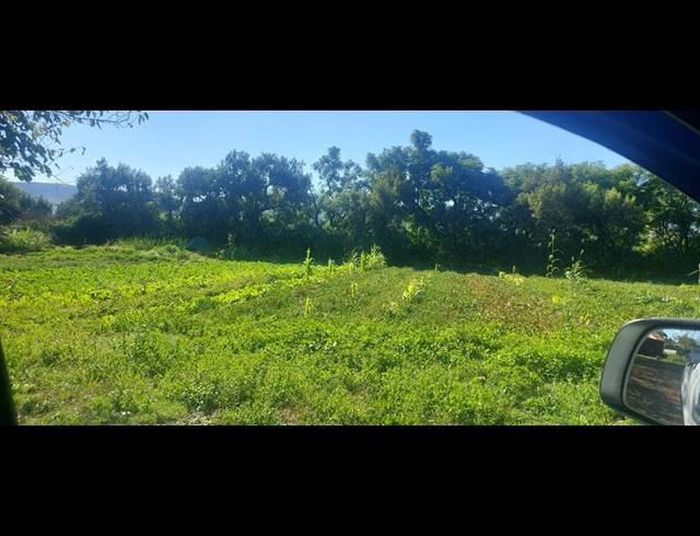 FARM FOR SALE IN ZANDFONTEIN